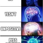 Expanding Brain | NO; YESN'T; UNPOSITIVE; PISS OFF BLUD | image tagged in memes,expanding brain | made w/ Imgflip meme maker