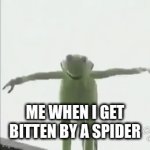 I died thinking I was spiderman | ME WHEN I GET BITTEN BY A SPIDER | image tagged in gifs,meme,kermit | made w/ Imgflip video-to-gif maker