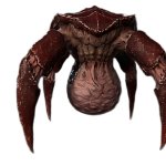 Gornach matured headcrab