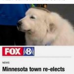 No title necessary | image tagged in mayor doggo | made w/ Imgflip meme maker