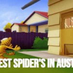 "KILL IT BEFORE IT LAY'S EGGS!" -Aliens(I think?) | smallest spider's in Australia: | image tagged in gifs,cartoon,garfield,memes,funny,meanwhile in australia | made w/ Imgflip video-to-gif maker