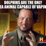 yep | DOLPHINS ARE THE ONLY SEA ANIMAL CAPABLE OF VAPING | image tagged in memes,ancient aliens | made w/ Imgflip meme maker