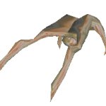 Baby headcrab