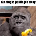 moderators, take his pingas privileges away