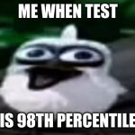 (I'm smart) | ME WHEN TEST; IS 98TH PERCENTILE | image tagged in bird screaming | made w/ Imgflip meme maker