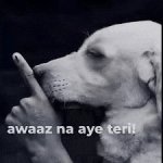 awaz na aye teri