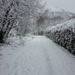 snowy path