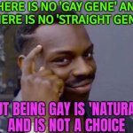 Being Gay Is 'Natural' And Is Not A Choice | THERE IS NO 'GAY GENE' AND
THERE IS NO 'STRAIGHT GENE'; BUT BEING GAY IS 'NATURAL'
AND IS NOT A CHOICE | image tagged in smart black guy,gay pride,gay,lgbtq,lesbians,homosexuality | made w/ Imgflip meme maker