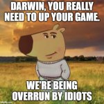 Chill guy | DARWIN, YOU REALLY NEED TO UP YOUR GAME. WE'RE BEING OVERRUN BY IDIOTS | image tagged in chill guy | made w/ Imgflip meme maker