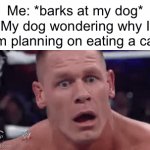 Doggo | Me: *barks at my dog*
My dog wondering why I am planning on eating a car: | image tagged in gifs,doggo,dog,memes | made w/ Imgflip video-to-gif maker