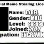 Meme Stealing License | TYREL; MALE; 999999; 2022; ENGRAVING | image tagged in meme stealing license | made w/ Imgflip meme maker