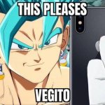 This pleases Vegito