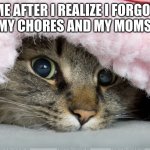 Cat in Blanket | ME AFTER I REALIZE I FORGOT TO DO MY CHORES AND MY MOMS HOME. | image tagged in cat in blanket | made w/ Imgflip meme maker