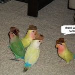 Cowbirbs! meme