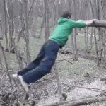 tree fail GIF Template