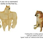 linux meme | When you run a command and it works on the first try... Feeling like a coding genius... until you realize you just typed "sudo su" without even knowing why. | image tagged in memes,buff doge vs cheems | made w/ Imgflip meme maker