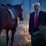 Trump and horse rump