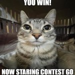 Zazu Staring | YOU WIN! NOW STARING CONTEST GO | image tagged in zazu staring | made w/ Imgflip meme maker