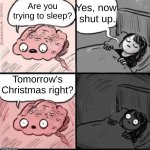 Tomorrow: *Christmas* My honest reaction: | Yes, now
 shut up. Are you trying to sleep? Tomorrow's Christmas right? | image tagged in trying to sleep | made w/ Imgflip meme maker