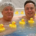 Trump Musk #elonald bath rubber duckies Bromance