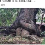 Nature is so beautiful... template