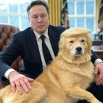 Elon Musk cuddles his pet lap dog Trump