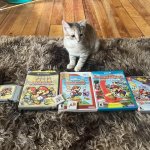 gamer cat