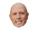 Peter Dutton face