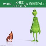 When you spill yellow ink on blue grinch: | KNEE SURGERY; CANCELLED | image tagged in when guac is extra | made w/ Imgflip meme maker