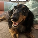 Happy doggo | THAT WASNT; A MICRO DOSE | image tagged in happy dog | made w/ Imgflip meme maker