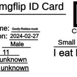 My ID sir | Goofy-Roblox-noob; 2024-02-27; Male; I eat bred; 11; unknown; unknown | image tagged in imgflip id card | made w/ Imgflip meme maker