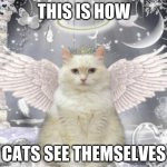 Cat Angel | THIS IS HOW; CATS SEE THEMSELVES | image tagged in cat angel | made w/ Imgflip meme maker