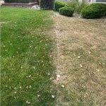 Property line template