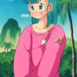 cute bulma