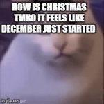 huh | HOW IS CHRISTMAS TMRO IT FEELS LIKE DECEMBER JUST STARTED | image tagged in gifs,christmas | made w/ Imgflip video-to-gif maker