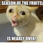 The bane of Christmas sweets | THE SEASON OF THE FRUITCAKE; IS NEARLY OVER! | image tagged in kids cough,fruitcake,christmas,disgusting,memes,cat | made w/ Imgflip meme maker