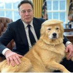 Trump is Elon Musk's lapdog