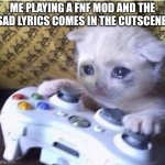 What mod has the sad lyrics | ME PLAYING A FNF MOD AND THE SAD LYRICS COMES IN THE CUTSCENE | image tagged in sad gaming cat,gaming,fnf,lyrics,cutscene | made w/ Imgflip meme maker