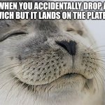 Yes | WHEN YOU ACCIDENTALLY DROP A SANDWICH BUT IT LANDS ON THE PLATE AGAIN | image tagged in memes,satisfied seal | made w/ Imgflip meme maker