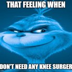 No more knee surgery for me | THAT FEELING WHEN; I DON'T NEED ANY KNEE SURGERY | image tagged in blue grinch,memes,funny,why are you reading this | made w/ Imgflip meme maker