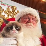 Santa grumpy cat christmas