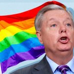 lindsey graham - Gay as Hell