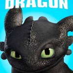 how to train dragon