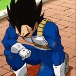 Vegeta Bows