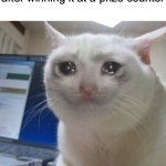 aw man, 20 tickets gone to waste | Me breaking my cheap Slinky after winning it at a prize counter | image tagged in crying cat | made w/ Imgflip meme maker