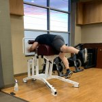 Gym expert