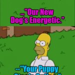 Canine Qualification | ..."Our New 

Dog's Energetic."; --"Your Puppy 

Steals Coffee."; OzwinEVCG; Canine Qualification | image tagged in gifs,homer hotline giffing,dogs,real talk,high energy,funny | made w/ Imgflip video-to-gif maker