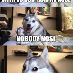 Nobody nose | WHAT DO YOU CALL SOMEONE WITH NO BODY AND NO NOSE; NOBODY NOSE | image tagged in funny,meme,funny memes,memes,funny meme,bad pun dog | made w/ Imgflip meme maker