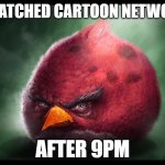 when the | I WATCHED CARTOON NETWORK; AFTER 9PM | image tagged in realistic angry bird big red,cartoon network,cartoon,night | made w/ Imgflip meme maker