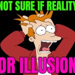 Not Sure If Reality Or Illusion | NOT SURE IF REALITY; OR ILLUSION | image tagged in futurama fry screaming,illusion,reality,philosophy,god religion universe,universe | made w/ Imgflip meme maker